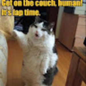 Meet your Posher, Elena